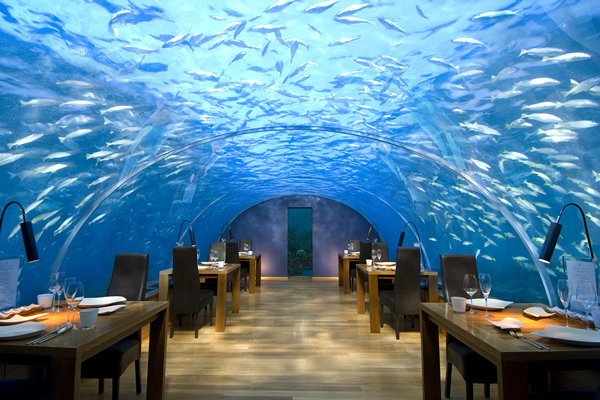 Ithaa, um restaurante debaixo de água 1