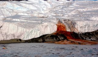 glaciar taylor