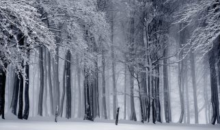 Sonhar com neve | Sentidos e interpretações mais comuns 1